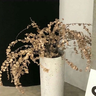 阿克苏FurryQQ群介绍